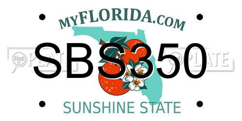 SBS350 Florida License Plate