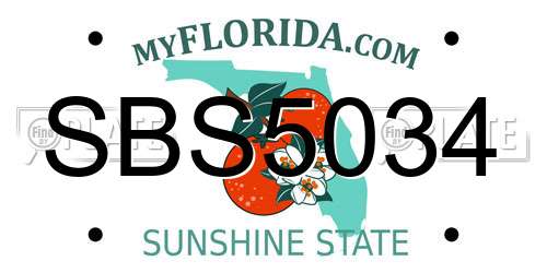 SBS5034 Florida License Plate