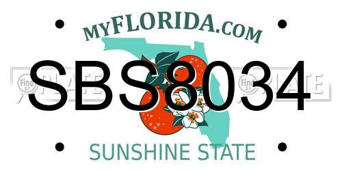SBS8034 Florida License Plate