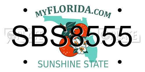 SBS8555 Florida License Plate