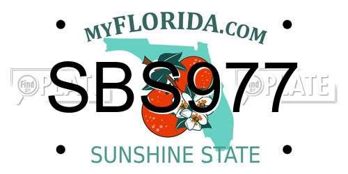 SBS977 Florida License Plate