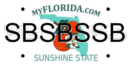 SBSBSSB Florida License Plate