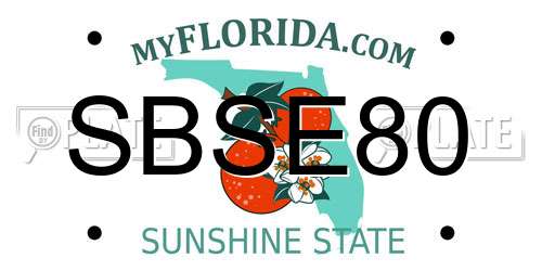 SBSE80 Florida License Plate