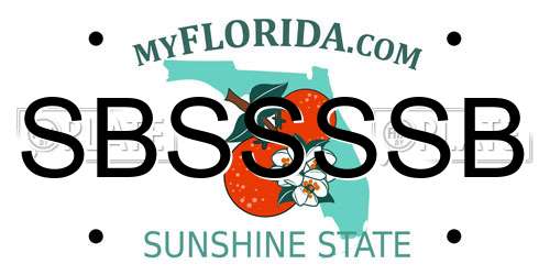 SBSSSSB Florida License Plate