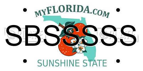 SBSSSSS Florida License Plate