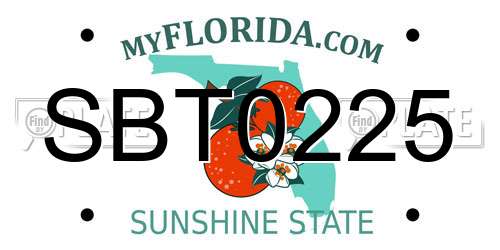 SBT0225 Florida License Plate