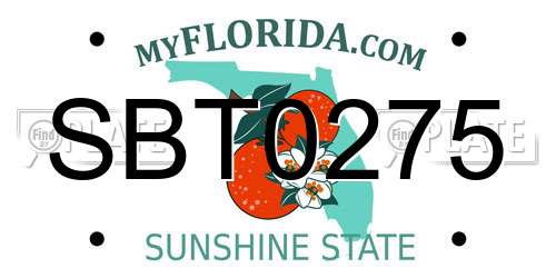 SBT0275 Florida License Plate