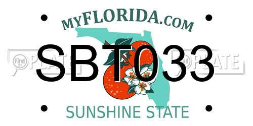 SBT033 Florida License Plate