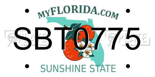 SBT0775 Florida License Plate