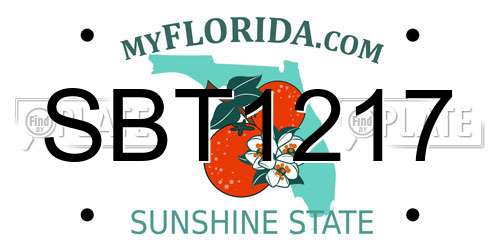 SBT1217 Florida License Plate