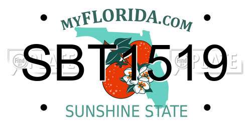SBT1519 Florida License Plate