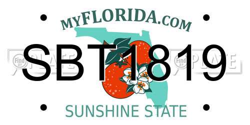 SBT1819 Florida License Plate