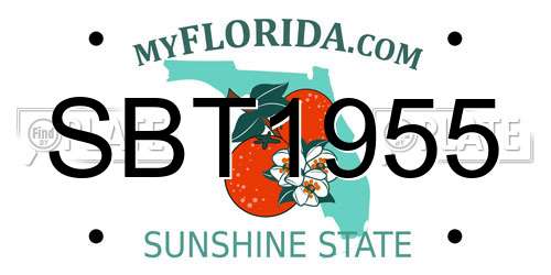SBT1955 Florida License Plate