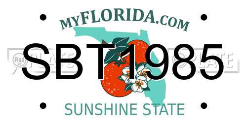 SBT1985 Florida License Plate
