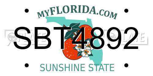 SBT4892 Florida License Plate
