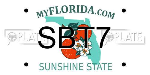 SBT7 Florida License Plate