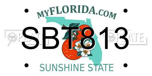 SBT813 Florida License Plate