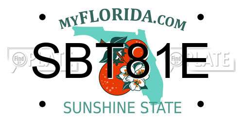 SBT81E Florida License Plate