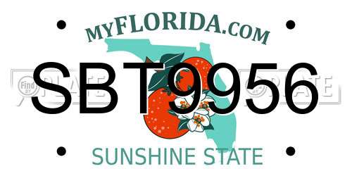 SBT9956 Florida License Plate