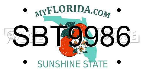 SBT9986 Florida License Plate