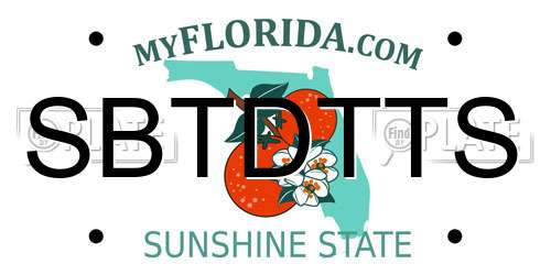 SBTDTTS Florida License Plate