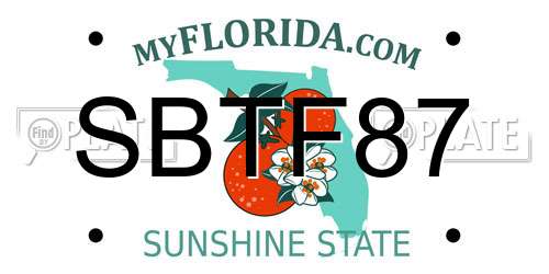 SBTF87 Florida License Plate