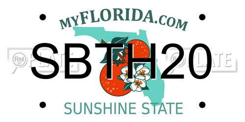 SBTH20 Florida License Plate