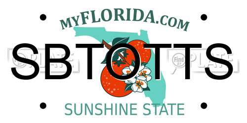 SBTOTTS Florida License Plate