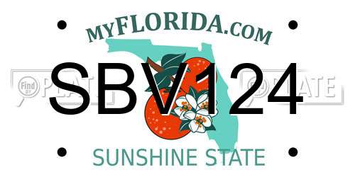 SBV124 Florida License Plate