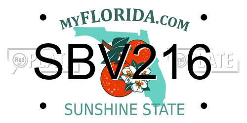 SBV216 Florida License Plate
