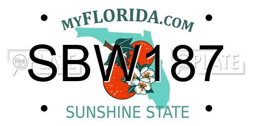 SBW187 Florida License Plate