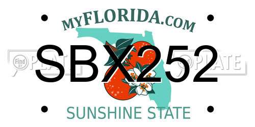 SBX252 Florida License Plate