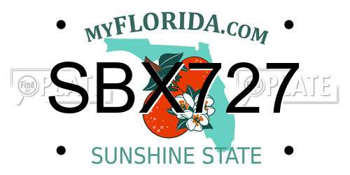 SBX727 Florida License Plate