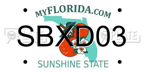 SBXD03 Florida License Plate