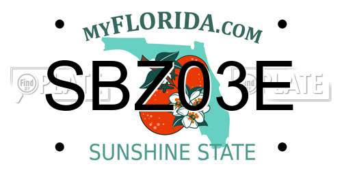 SBZ03E Florida License Plate