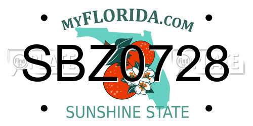 SBZ0728 Florida License Plate