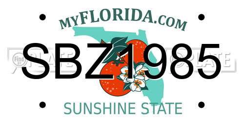 SBZ1985 Florida License Plate
