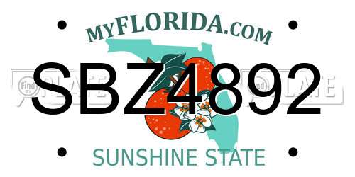 SBZ4892 Florida License Plate