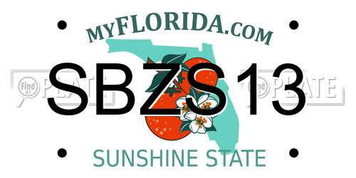 SBZS13 Florida License Plate