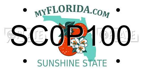 SC0P100 Florida License Plate