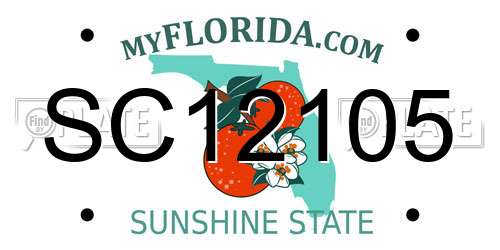 SC12105 Florida License Plate