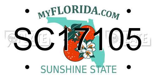 SC17105 Florida License Plate