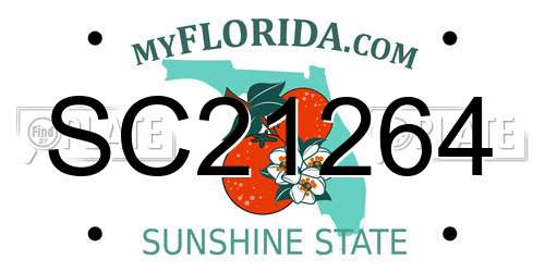 SC21264 Florida License Plate