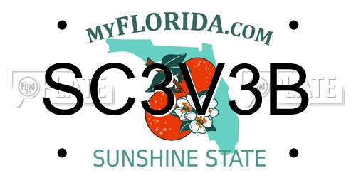 SC3V3B Florida License Plate
