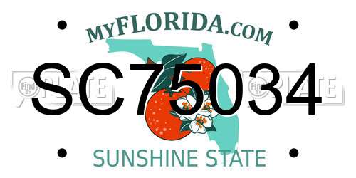SC75034 Florida License Plate
