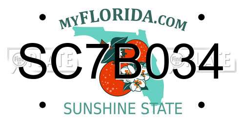 SC7B034 Florida License Plate