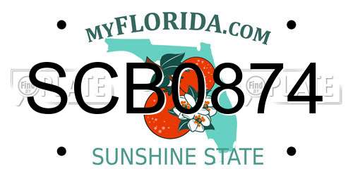 SCB0874 Florida License Plate