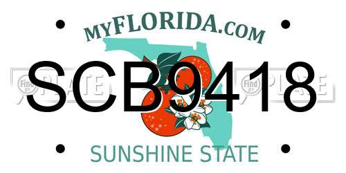SCB9418 Florida License Plate