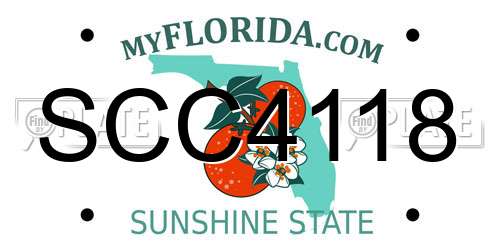 SCC4118 Florida License Plate