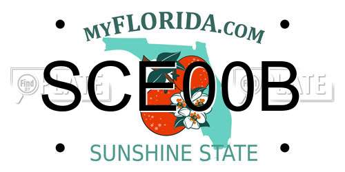 SCE00B Florida License Plate